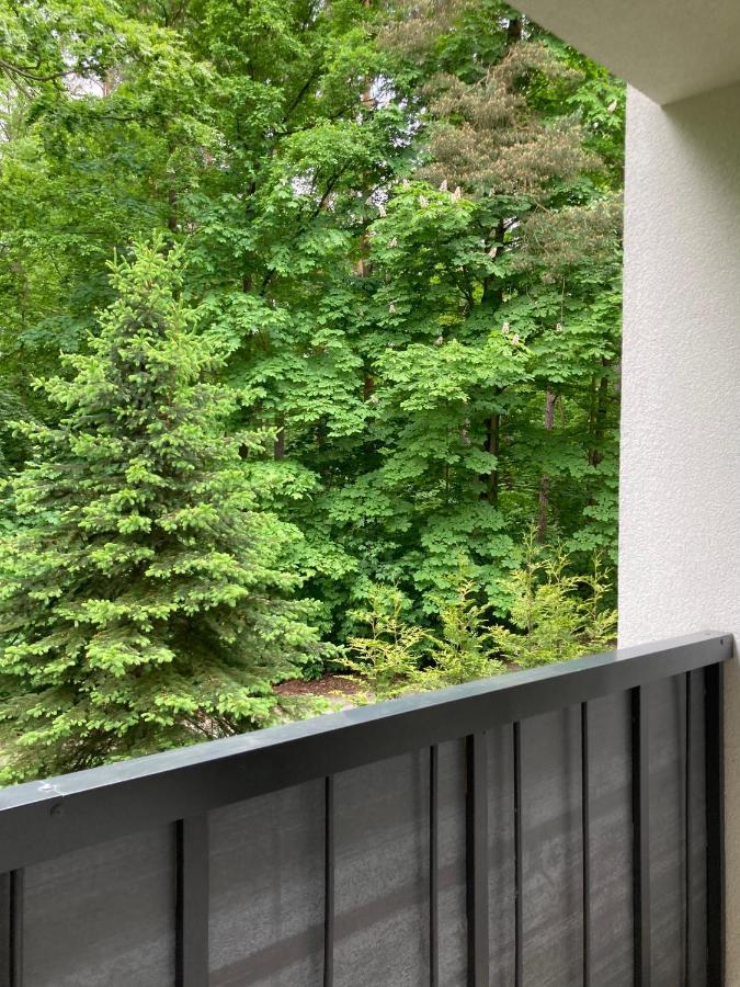 Apartament 221 Przy Niedzwiadku Polanica-Zdroj Luaran gambar